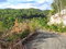 First image of 41 St. Jago Hills Dev. in Spanish Town, St. Catherine, Jamaica - property is For Sale
