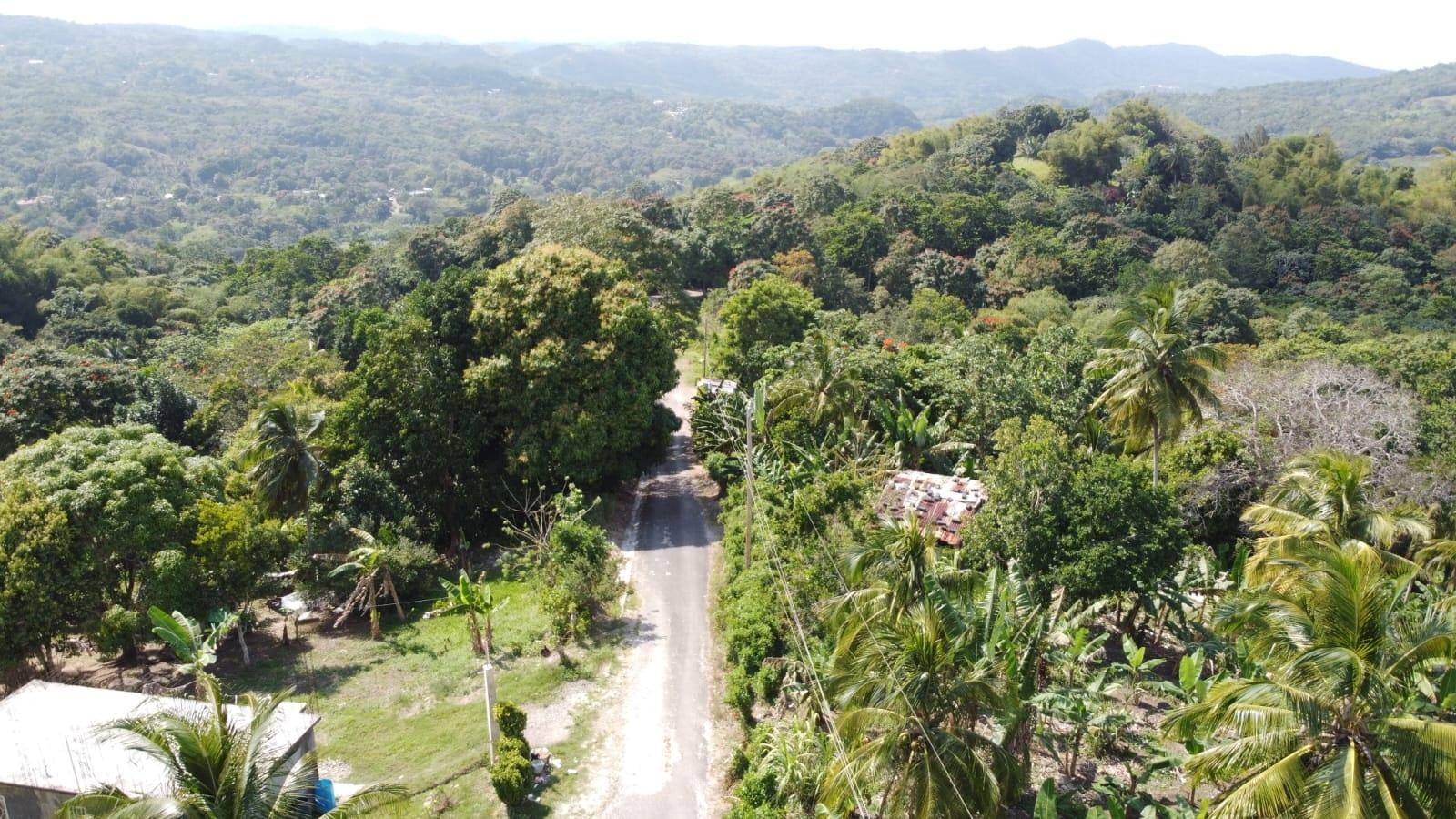 Twelfth image of Dressikie in Lambkin Hill, St. Mary, Jamaica - property is For Sale