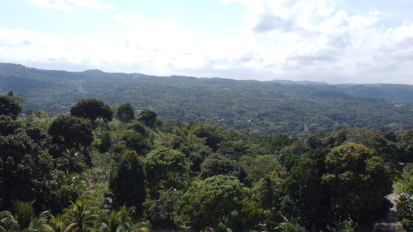 Thirteenth image of Dressikie in Lambkin Hill, St. Mary, Jamaica - property is For Sale