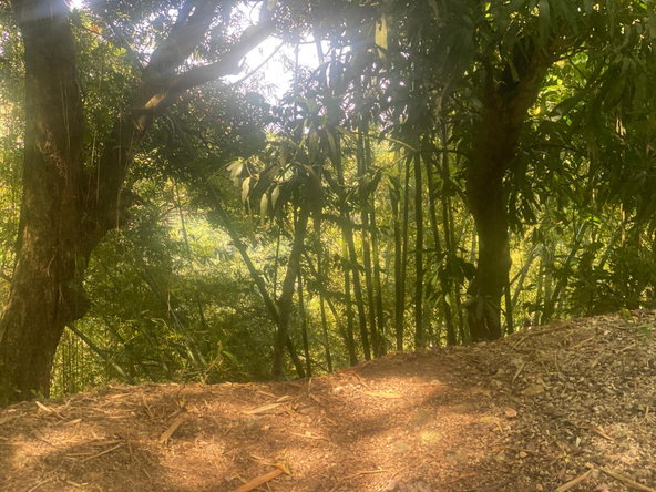 Fourth image of Dressikie in Lambkin Hill, St. Mary, Jamaica - property is For Sale