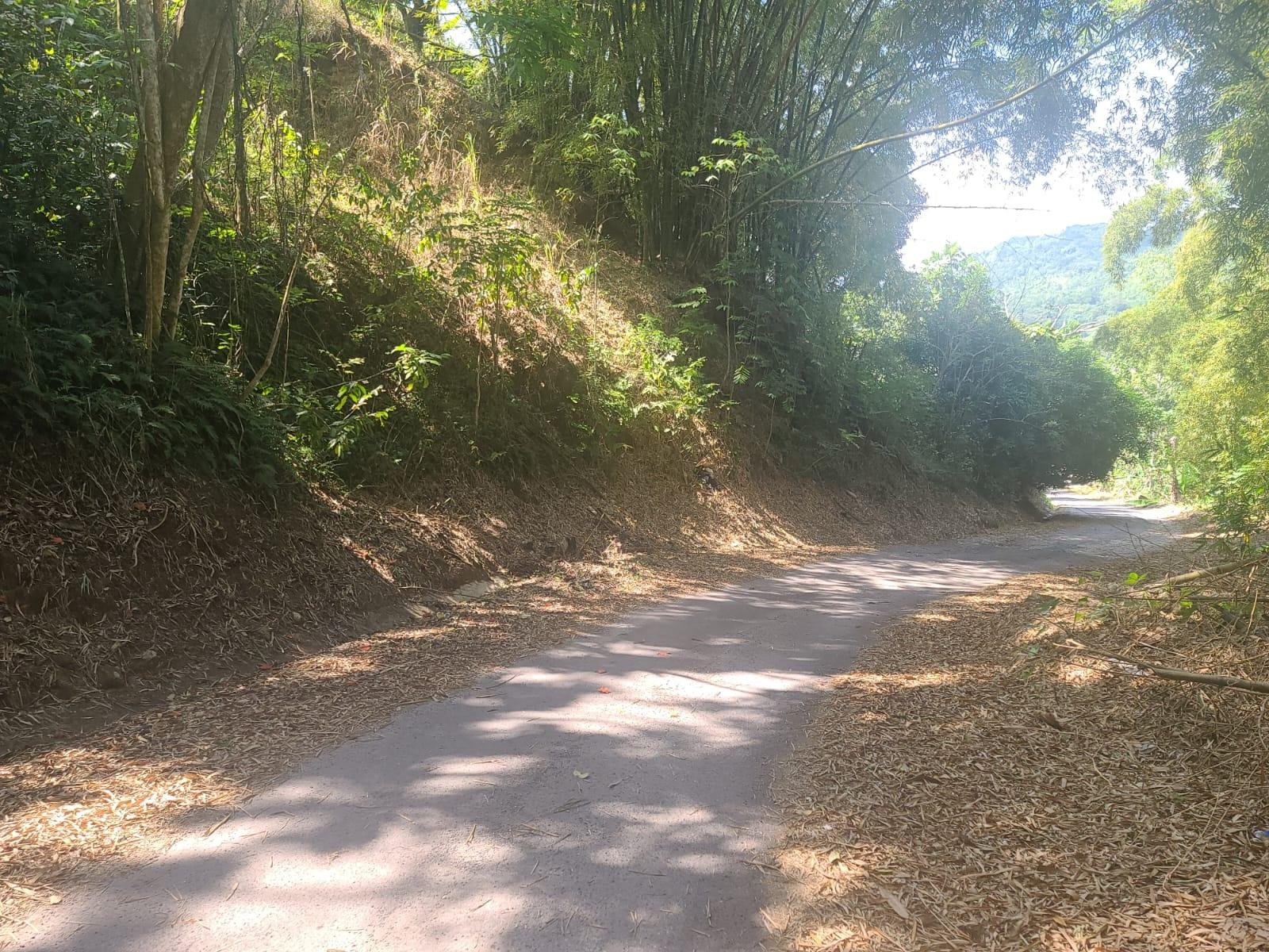 Sixth image of Dressikie in Lambkin Hill, St. Mary, Jamaica - property is For Sale