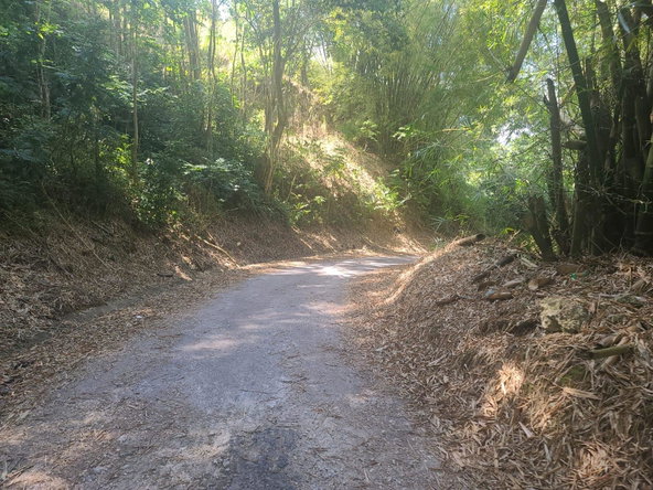 Seventh image of Dressikie in Lambkin Hill, St. Mary, Jamaica - property is For Sale