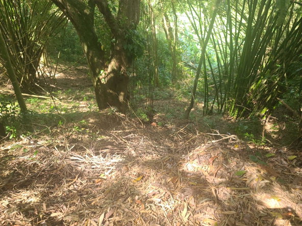 Eighth image of Dressikie in Lambkin Hill, St. Mary, Jamaica - property is For Sale