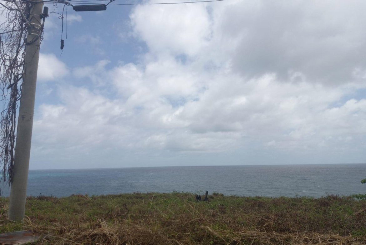 Fourth image of Lot# 135 Rio Nuevo Circle, St. Mar in Port Maria, St. Mary, Jamaica - property is For Sale