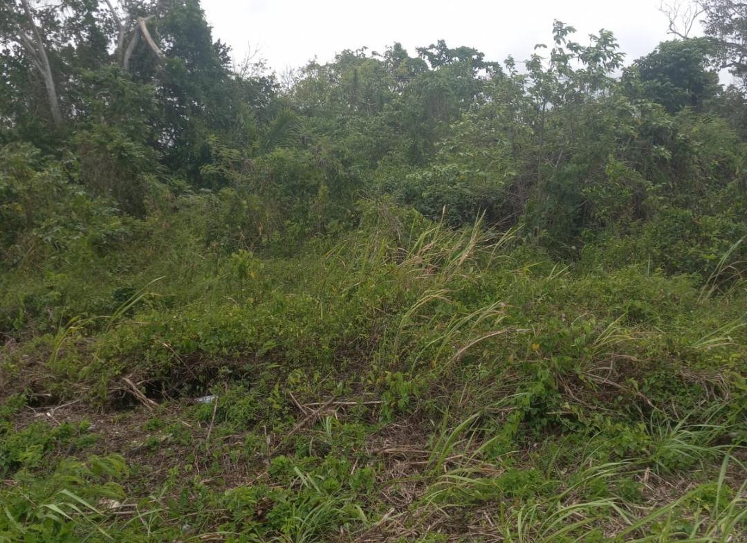 Fifth image of Lot# 135 Rio Nuevo Circle, St. Mar in Port Maria, St. Mary, Jamaica - property is For Sale