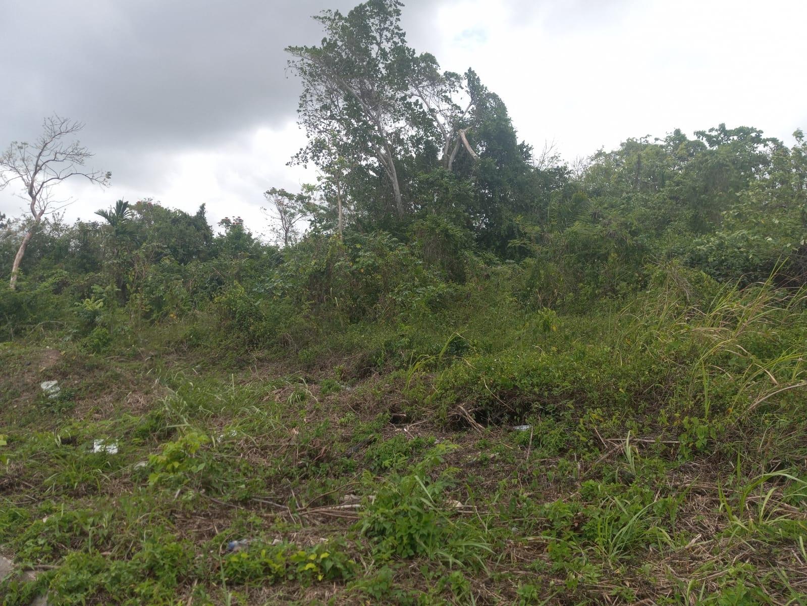 Sixth image of Lot# 135 Rio Nuevo Circle, St. Mar in Port Maria, St. Mary, Jamaica - property is For Sale