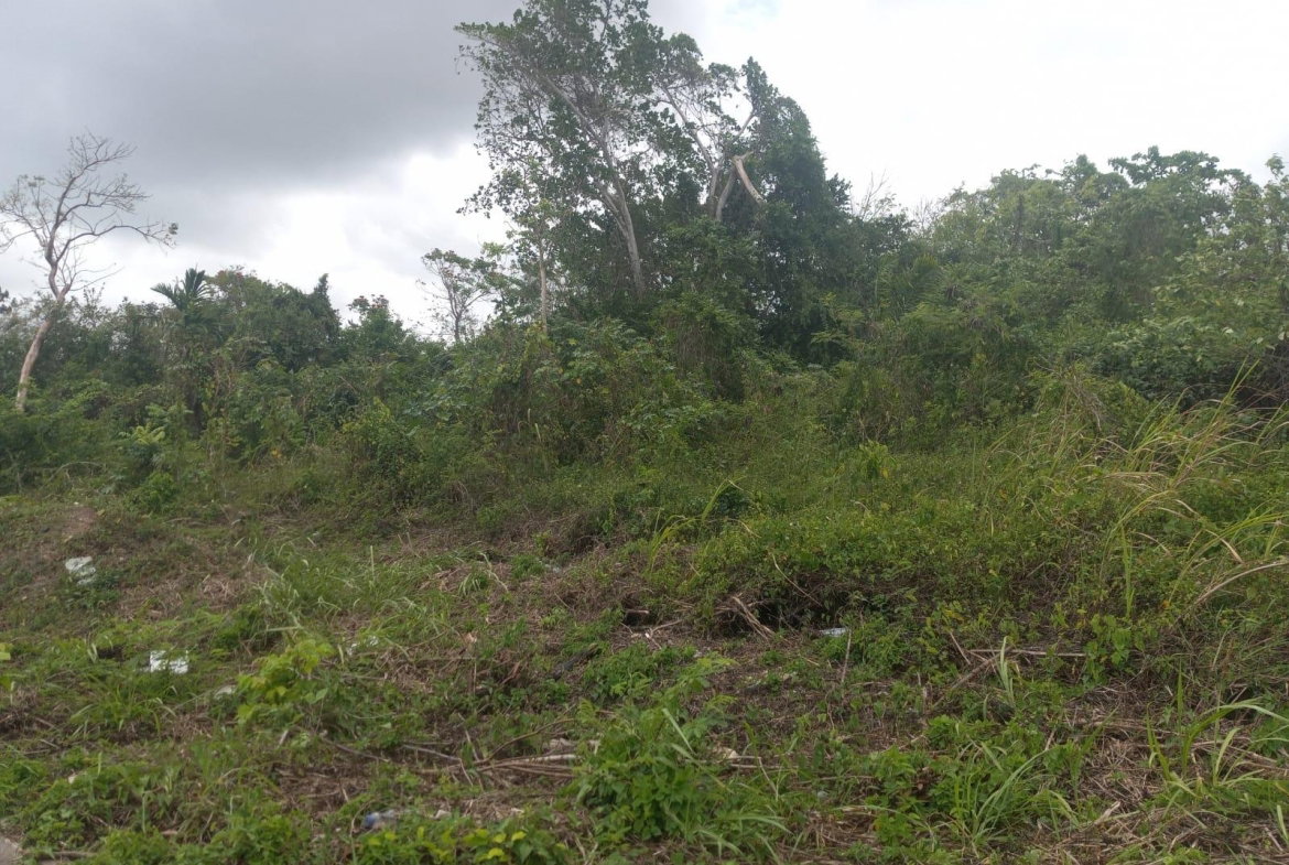 Seventh image of Lot# 135 Rio Nuevo Circle, St. Mar in Port Maria, St. Mary, Jamaica - property is For Sale