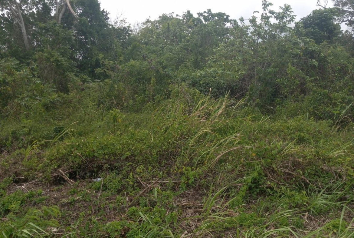 Eighth image of Lot# 135 Rio Nuevo Circle, St. Mar in Port Maria, St. Mary, Jamaica - property is For Sale