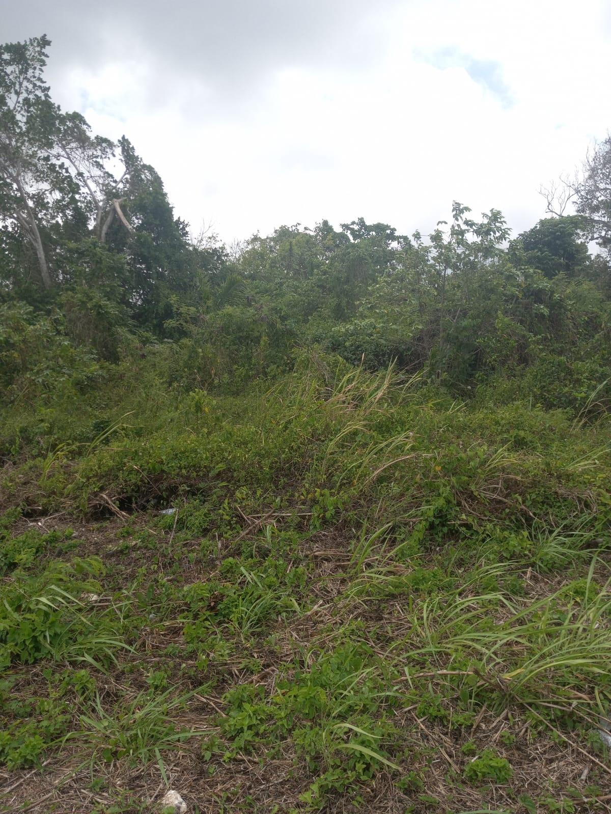 Eighth image of Lot# 135 Rio Nuevo Circle, St. Mar in Port Maria, St. Mary, Jamaica - property is For Sale