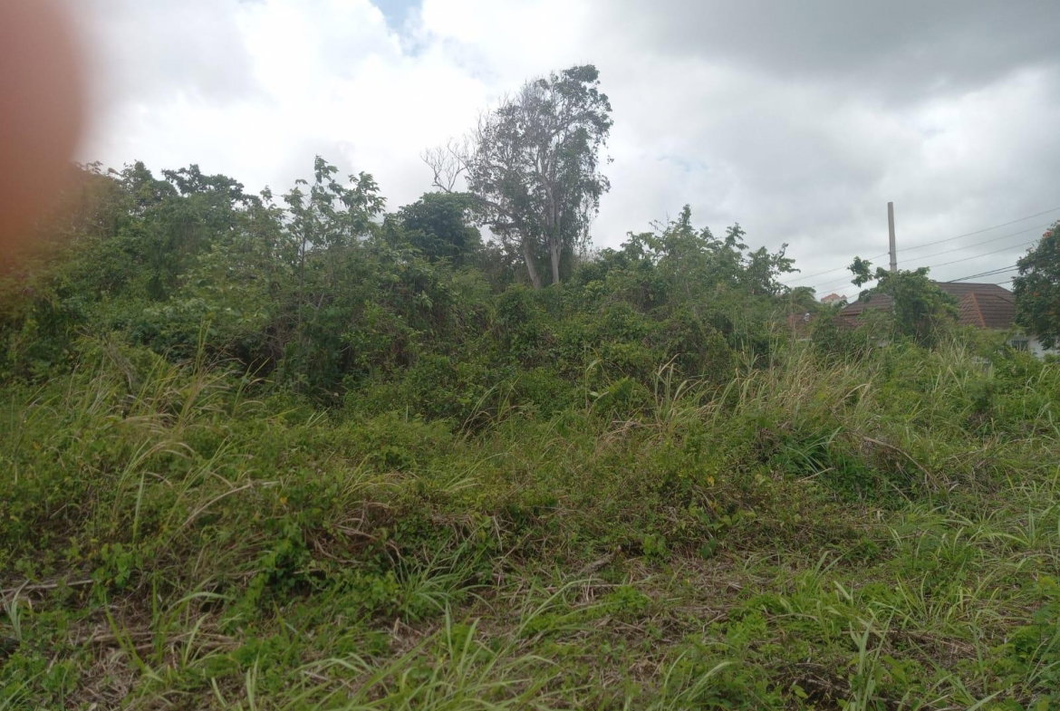 Ninth image of Lot# 135 Rio Nuevo Circle, St. Mar in Port Maria, St. Mary, Jamaica - property is For Sale