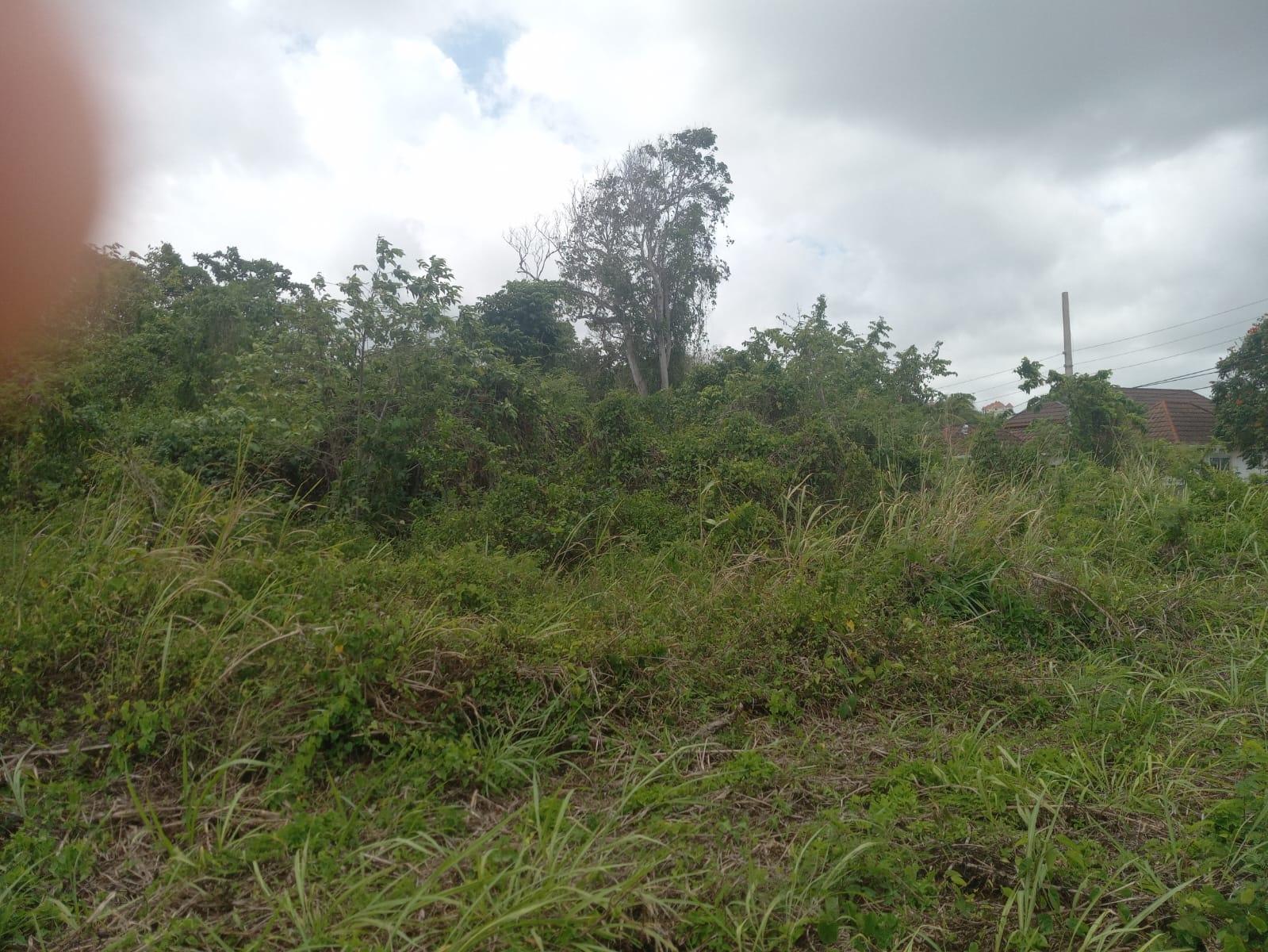 Ninth image of Lot# 135 Rio Nuevo Circle, St. Mar in Port Maria, St. Mary, Jamaica - property is For Sale