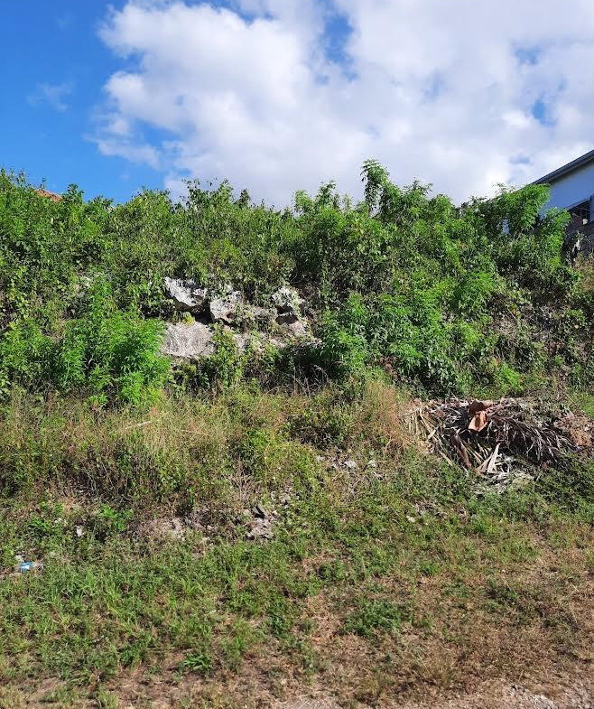 Eleventh image of Balmoral Heights, st Mary in Tower Isle, St. Mary, Jamaica - property is For Sale