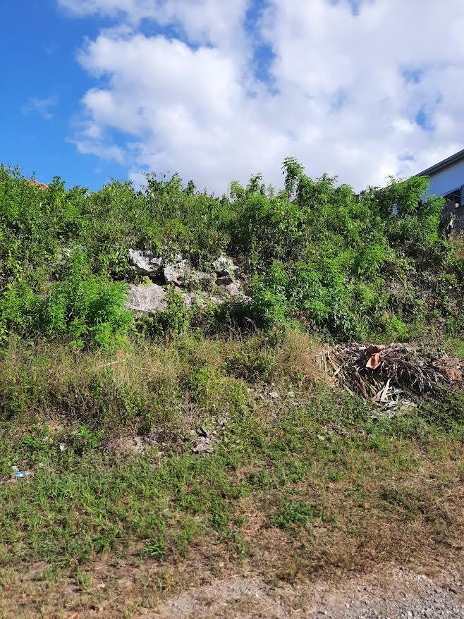 Eleventh image of Balmoral Heights, st Mary in Tower Isle, St. Mary, Jamaica - property is For Sale