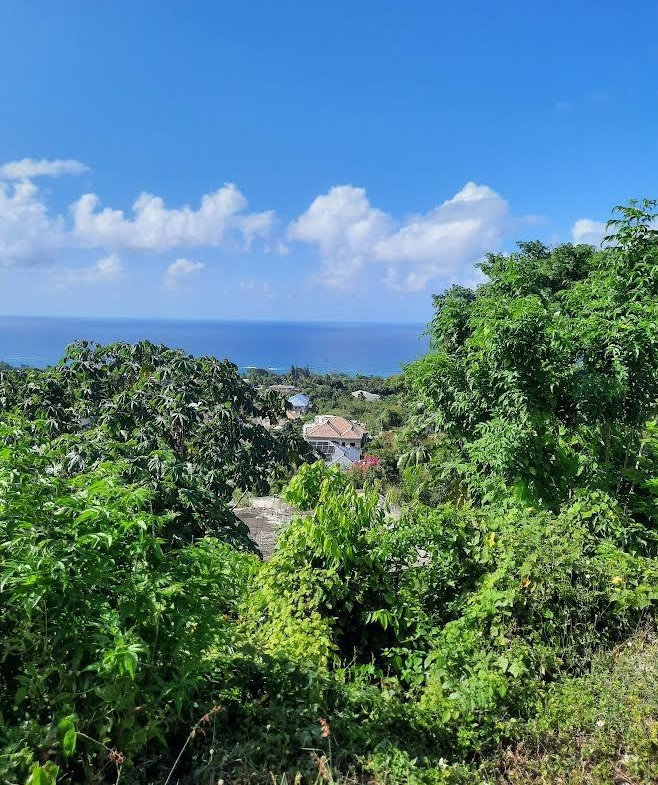 First image of Balmoral Heights, st Mary in Tower Isle, St. Mary, Jamaica - property is For Sale