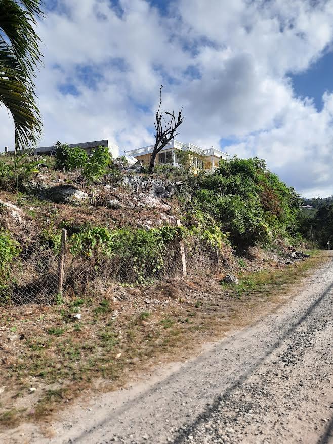 Ninth image of Balmoral Heights, st Mary in Tower Isle, St. Mary, Jamaica - property is For Sale