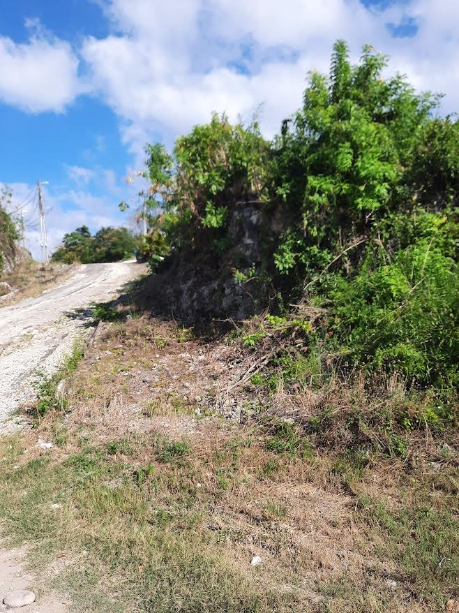 Tenth image of Balmoral Heights, st Mary in Tower Isle, St. Mary, Jamaica - property is For Sale