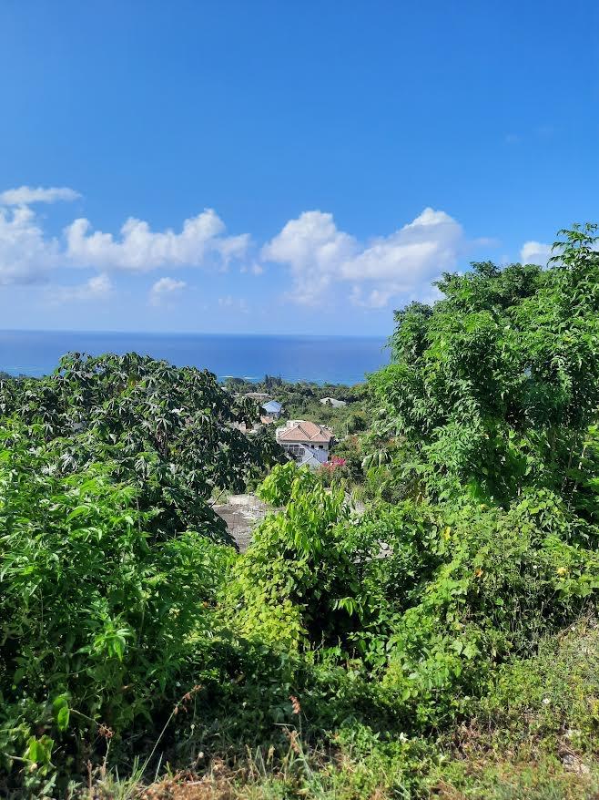 First image of Balmoral Heights, st Mary in Tower Isle, St. Mary, Jamaica - property is For Sale