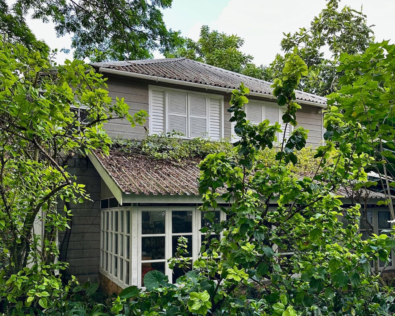 Twenty-Eighth image of 11 Sussex, Lime Hall in St. Ann's Bay, St. Ann, Jamaica - property is For Sale