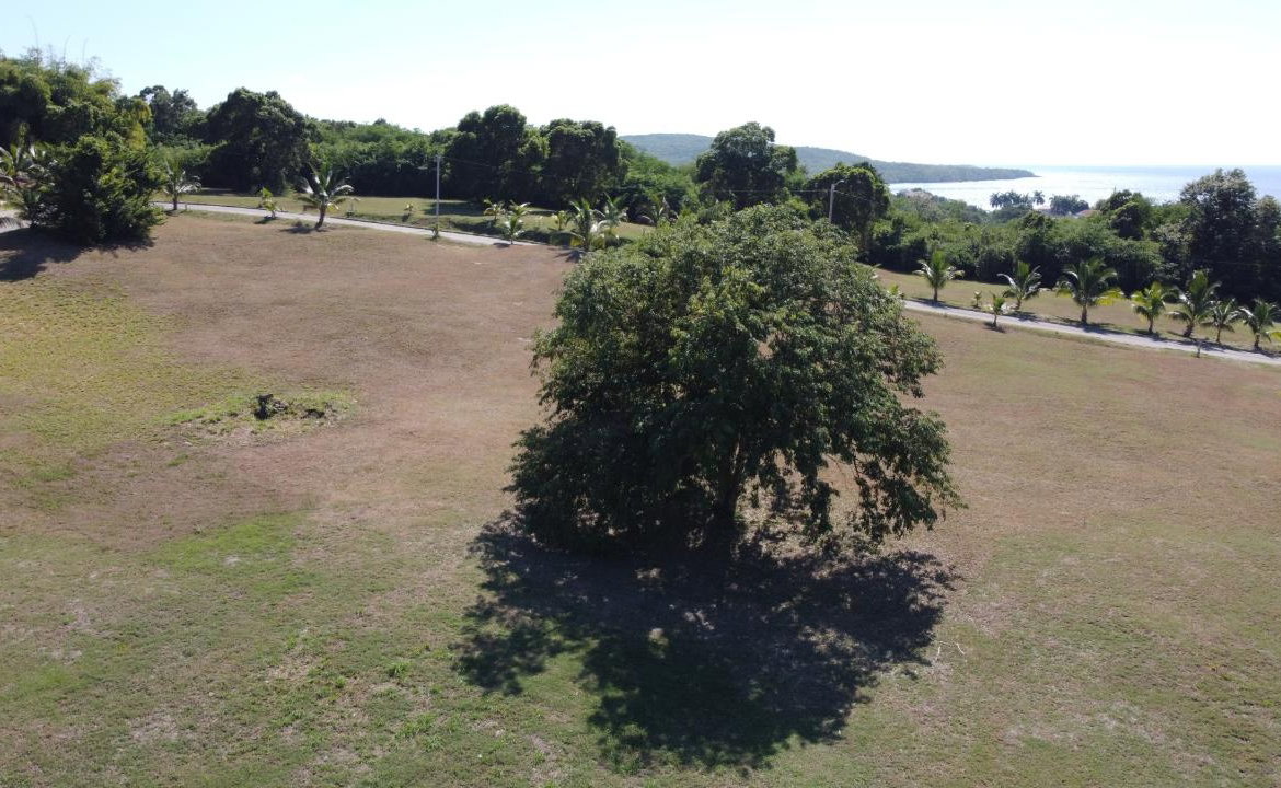 Eighteenth image of 19- Paradiso, Whitehouse in White House WD, Westmoreland, Jamaica - property is For Sale