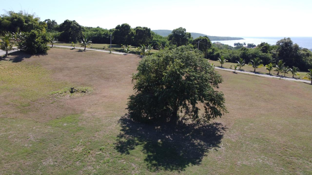 Stunning-0.30-Acre-Residential-Lot-in-Paradiso-Whitehouse-Jamaica Eighteenth image of 19- Paradiso, Whitehouse in White House WD, Westmoreland, Jamaica - property is For Sale