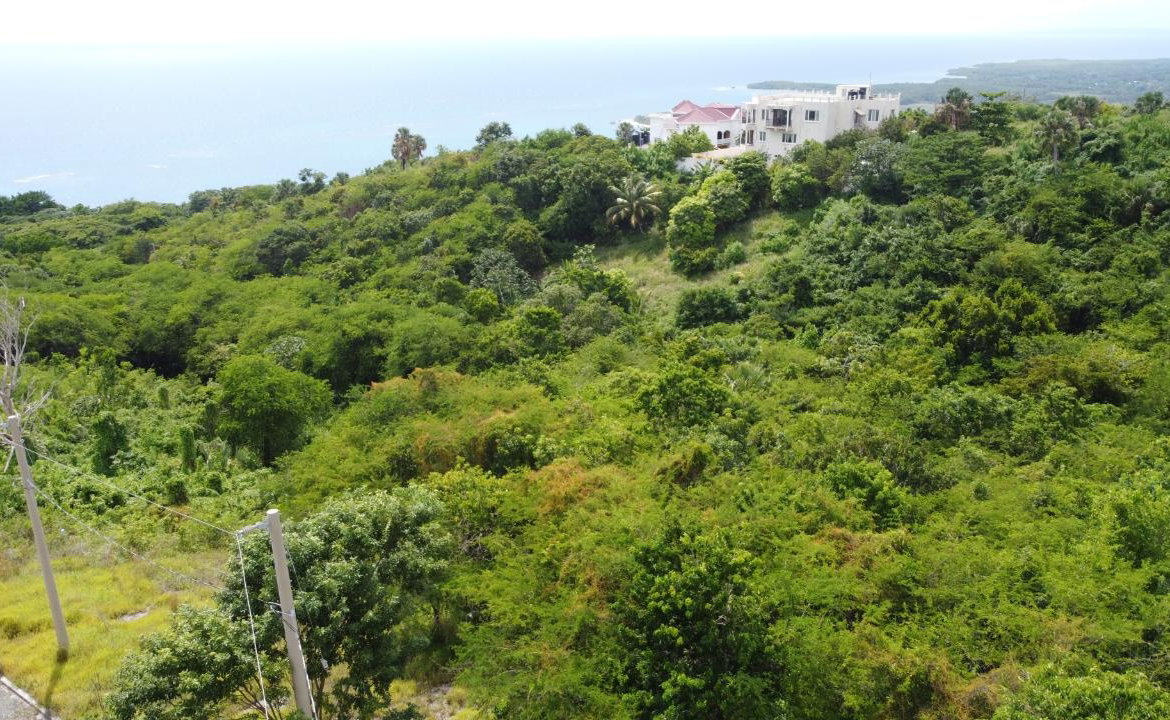 Thirteenth image of Culloden, Whitehouse in White House WD, Westmoreland, Jamaica - property is For Sale