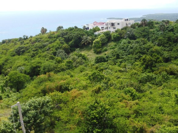 First image of Culloden, Whitehouse in White House WD, Westmoreland, Jamaica - property is For Sale