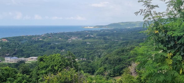 Second image of Haughton Court in Lucea, Hanover, Jamaica - property is For Sale