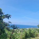 First image of Haughton Court in Lucea, Hanover, Jamaica - property is For Sale