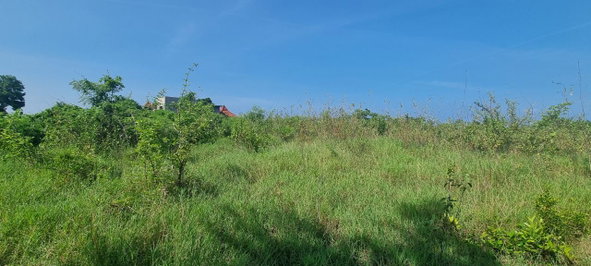 Third image of Haughton Court in Lucea, Hanover, Jamaica - property is For Sale