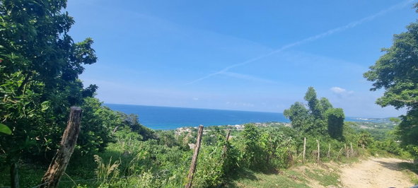 Fourth image of Haughton Court in Lucea, Hanover, Jamaica - property is For Sale