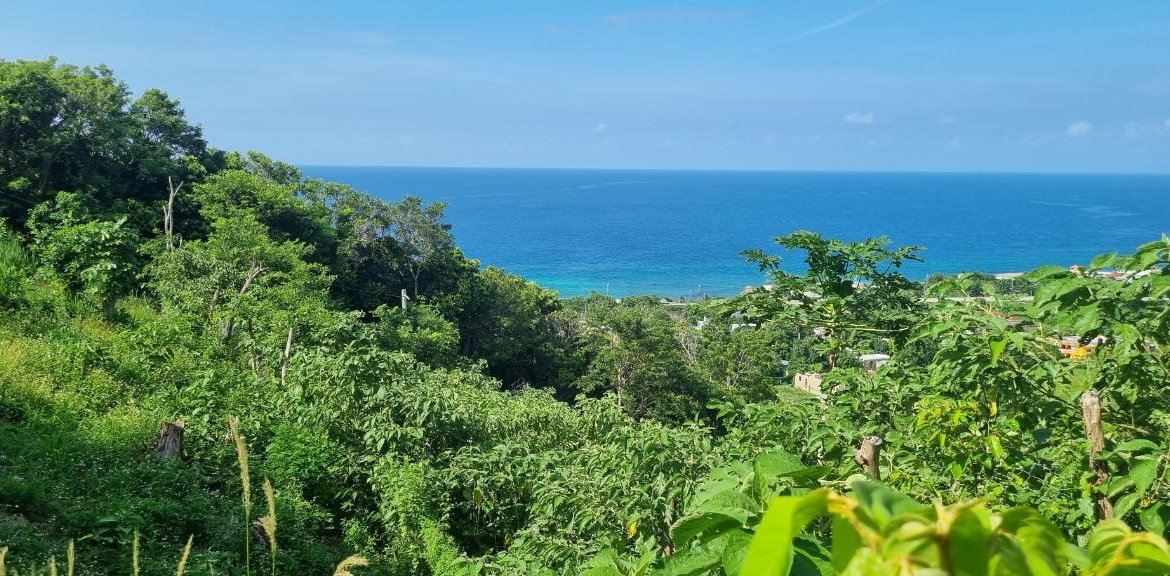 Fifth image of Haughton Court in Lucea, Hanover, Jamaica - property is For Sale