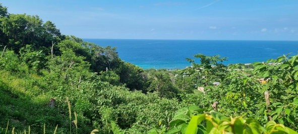 Fifth image of Haughton Court in Lucea, Hanover, Jamaica - property is For Sale