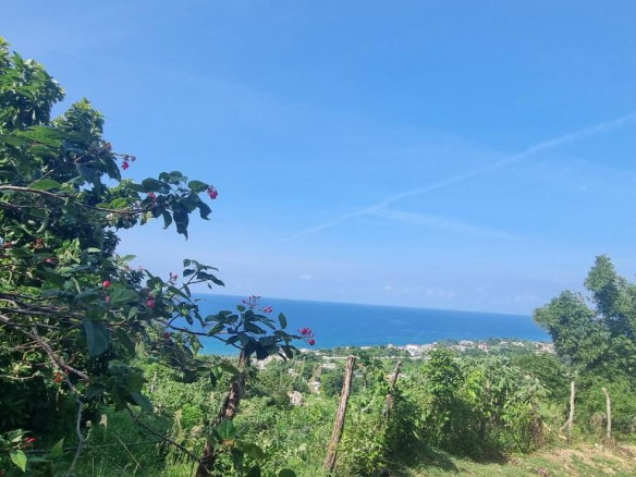 First image of Haughton Court in Lucea, Hanover, Jamaica - property is For Sale