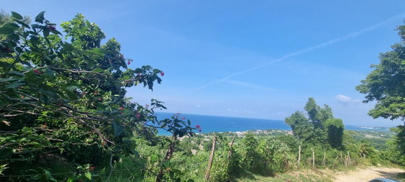First image of Haughton Court in Lucea, Hanover, Jamaica - property is For Sale