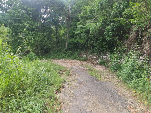 Fourth image of Lot 207d Coopers Hill in Kingston 19, St. Andrew, Jamaica - property is For Sale