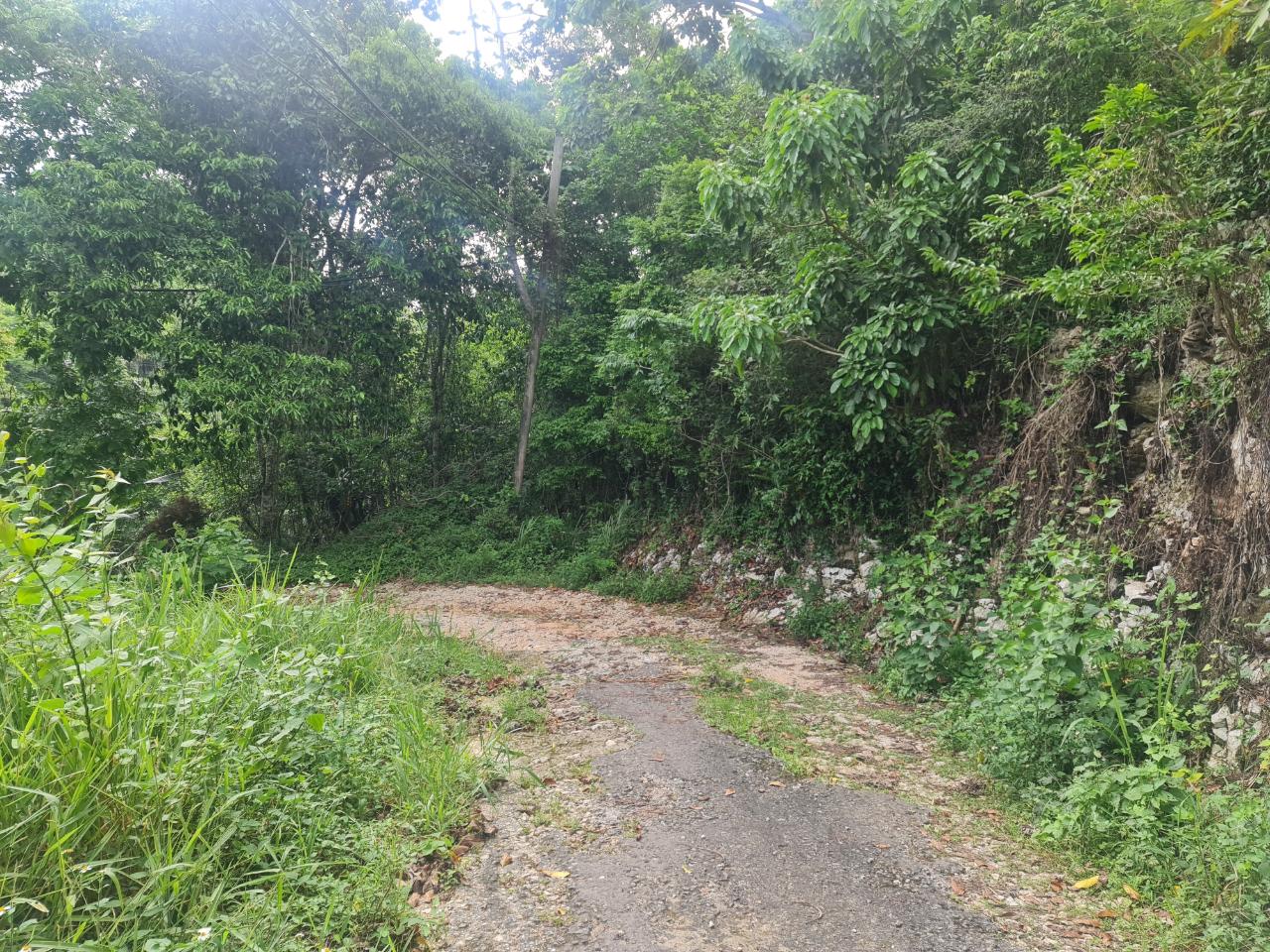 Sixth image of Lot 207d Coopers Hill in Kingston 19, St. Andrew, Jamaica - property is For Sale
