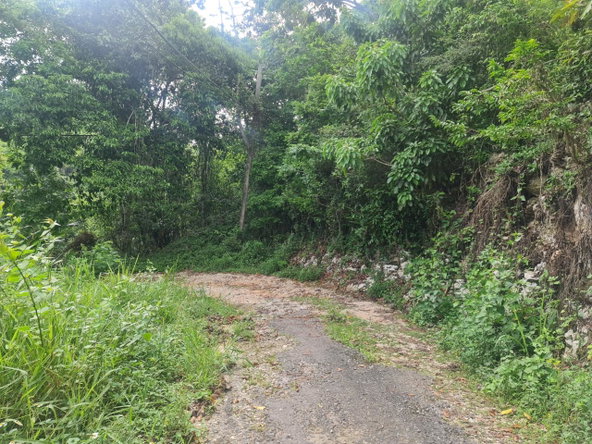 Sixth image of Lot 207d Coopers Hill in Kingston 19, St. Andrew, Jamaica - property is For Sale