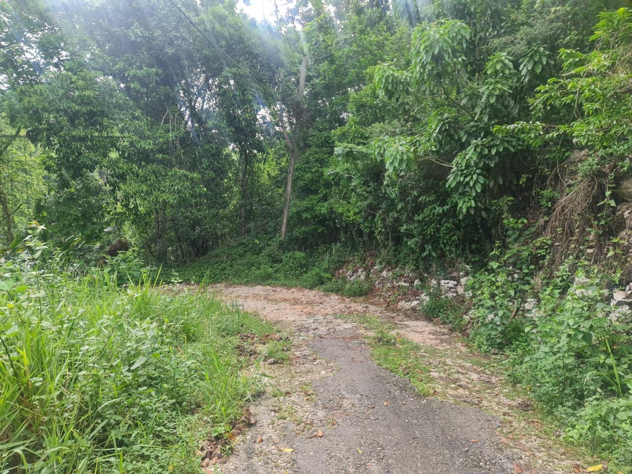 Seventh image of Lot 207d Coopers Hill in Kingston 19, St. Andrew, Jamaica - property is For Sale