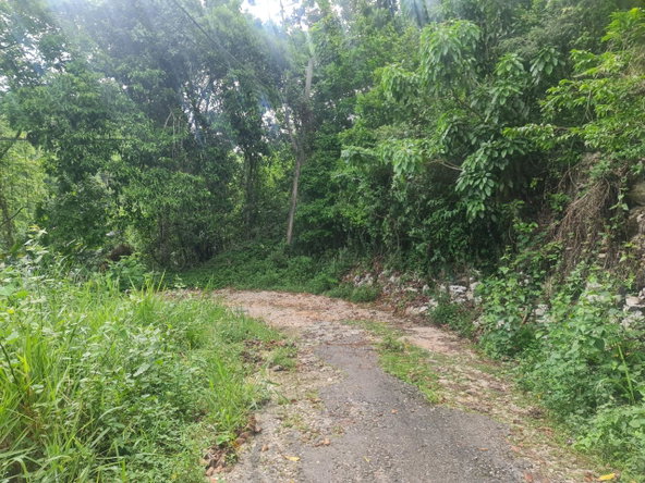 Seventh image of Lot 207d Coopers Hill in Kingston 19, St. Andrew, Jamaica - property is For Sale