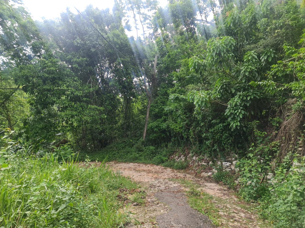 Eighth image of Lot 207d Coopers Hill in Kingston 19, St. Andrew, Jamaica - property is For Sale