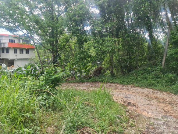 First image of Lot 207d Coopers Hill in Kingston 19, St. Andrew, Jamaica - property is For Sale
