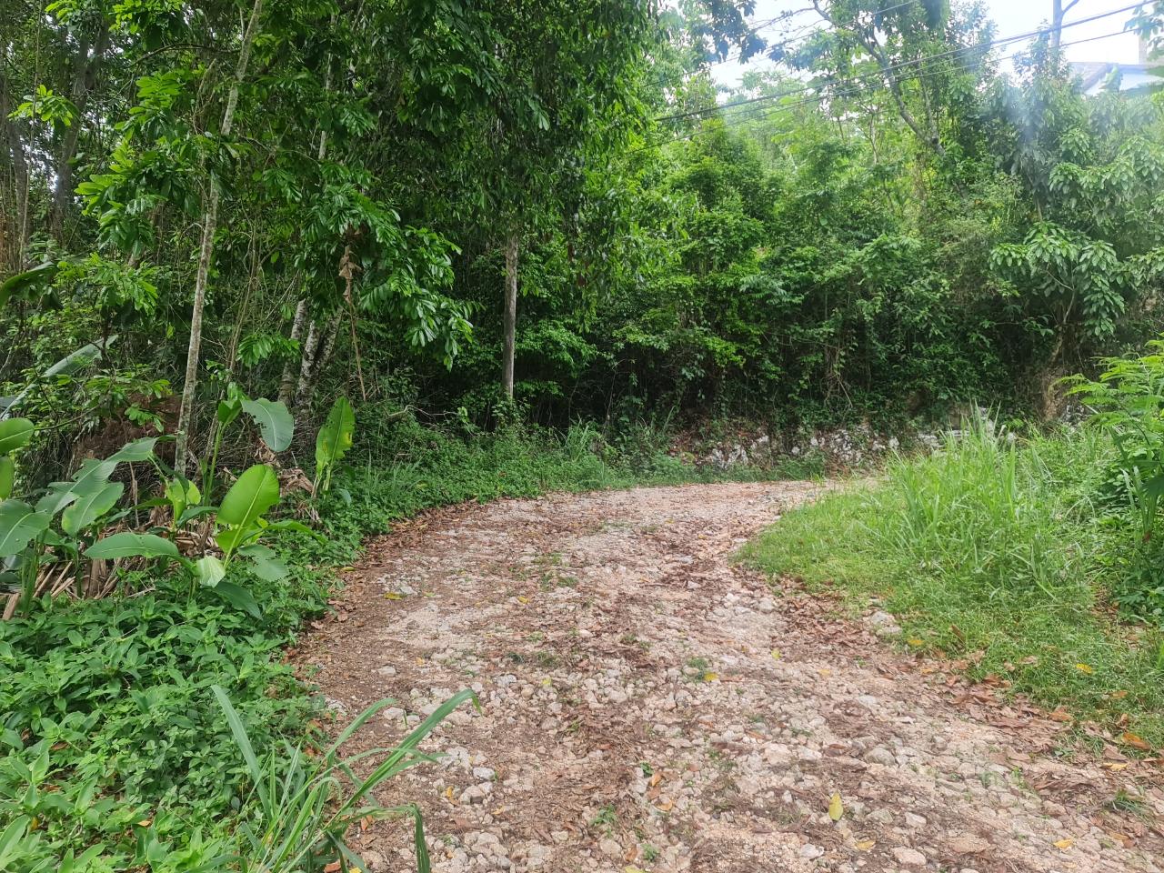 Tenth image of Lot 207d Coopers Hill in Kingston 19, St. Andrew, Jamaica - property is For Sale