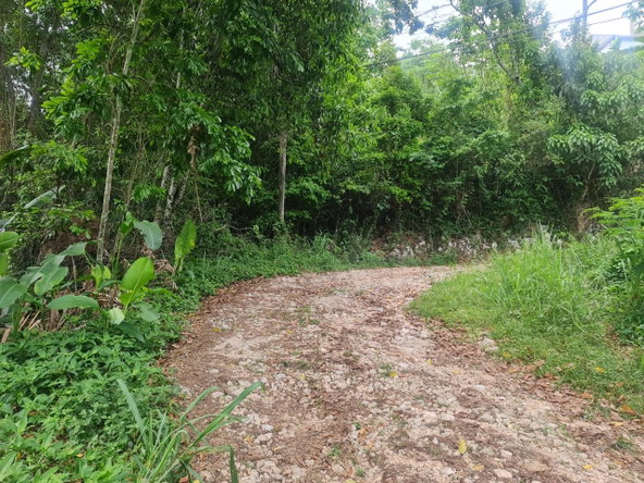 Tenth image of Lot 207d Coopers Hill in Kingston 19, St. Andrew, Jamaica - property is For Sale