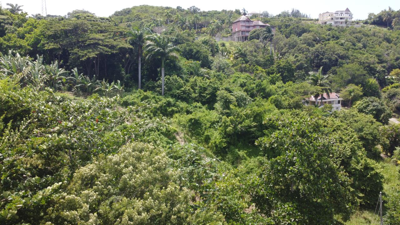 Thirteenth image of 16- Tamarind Hill in Round Hill, Hanover, Jamaica - property is For Sale