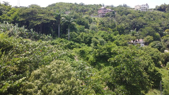 Thirteenth image of 16- Tamarind Hill in Round Hill, Hanover, Jamaica - property is For Sale