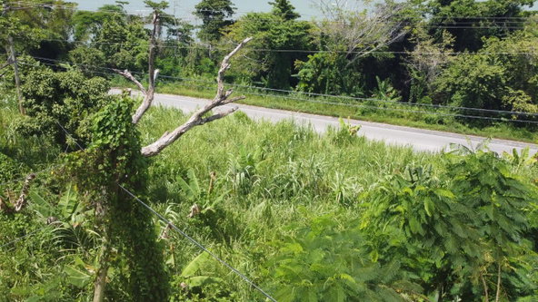 Sixteenth image of 16- Tamarind Hill in Round Hill, Hanover, Jamaica - property is For Sale