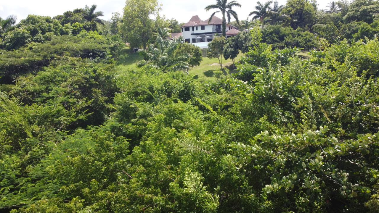 Fourth image of 16- Tamarind Hill in Round Hill, Hanover, Jamaica - property is For Sale