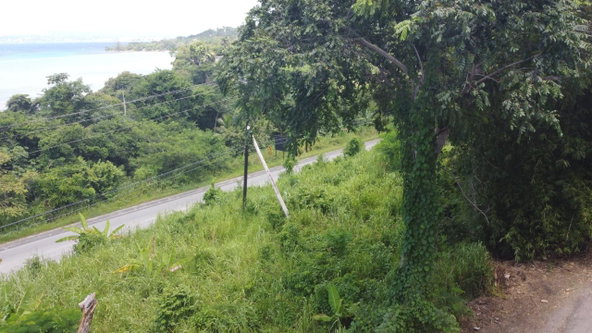 Fifth image of 16- Tamarind Hill in Round Hill, Hanover, Jamaica - property is For Sale