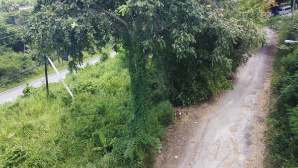 Seventh image of 16- Tamarind Hill in Round Hill, Hanover, Jamaica - property is For Sale
