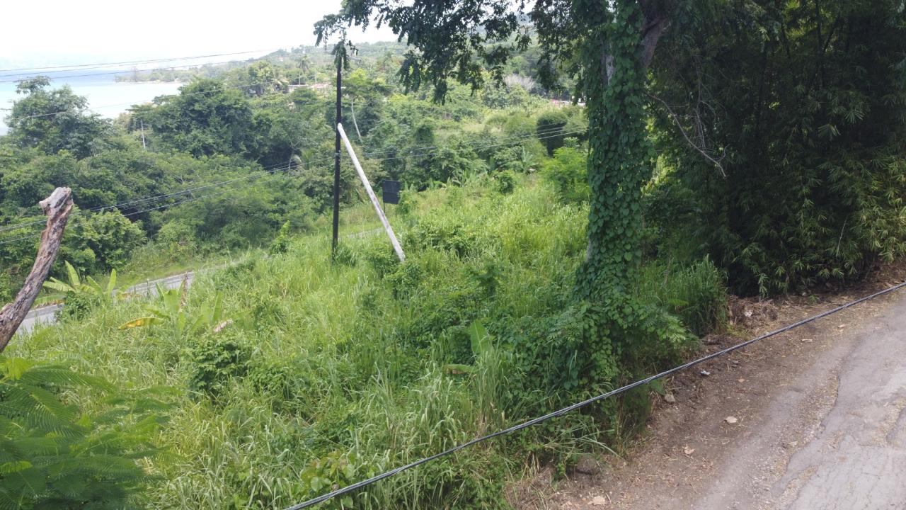 Ninth image of 16- Tamarind Hill in Round Hill, Hanover, Jamaica - property is For Sale